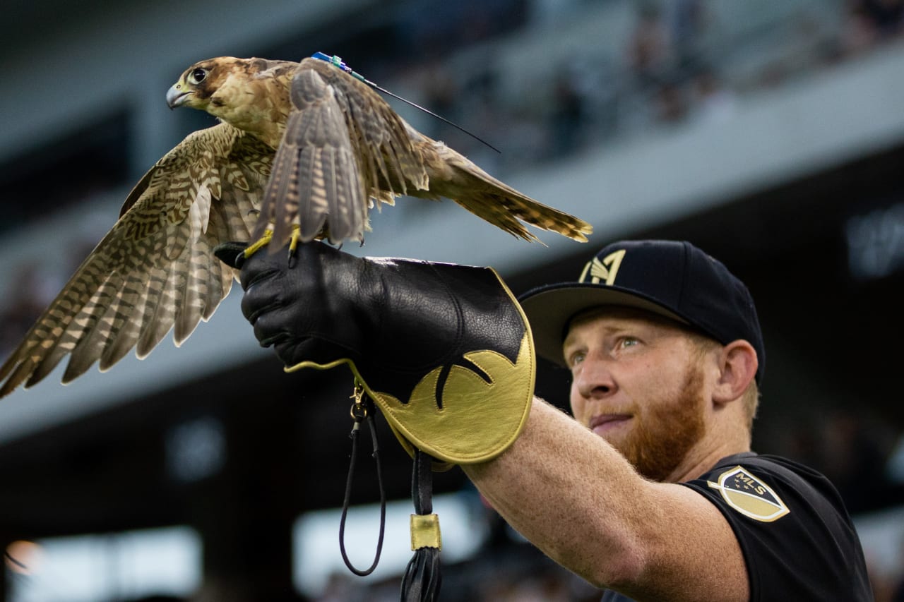Honorary Falconers