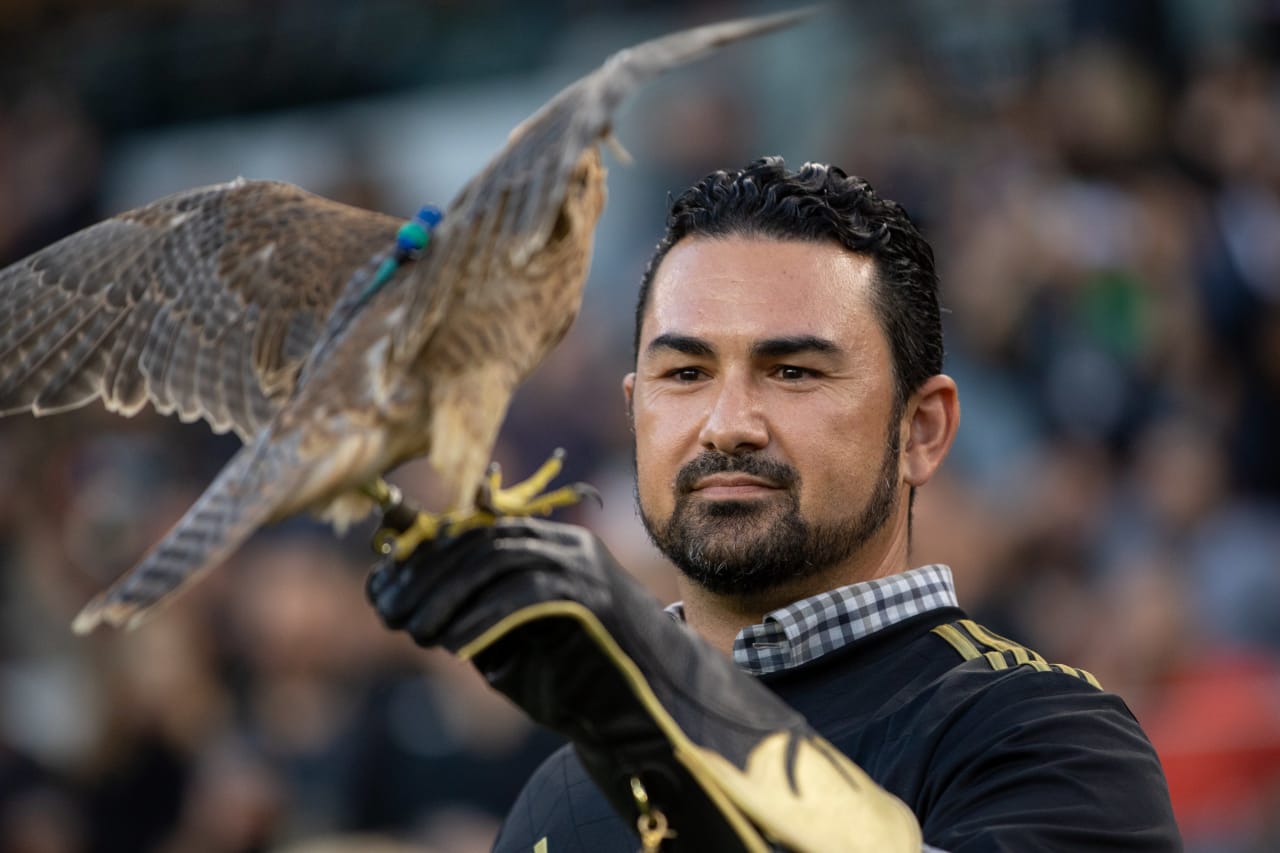 Honorary Falconers