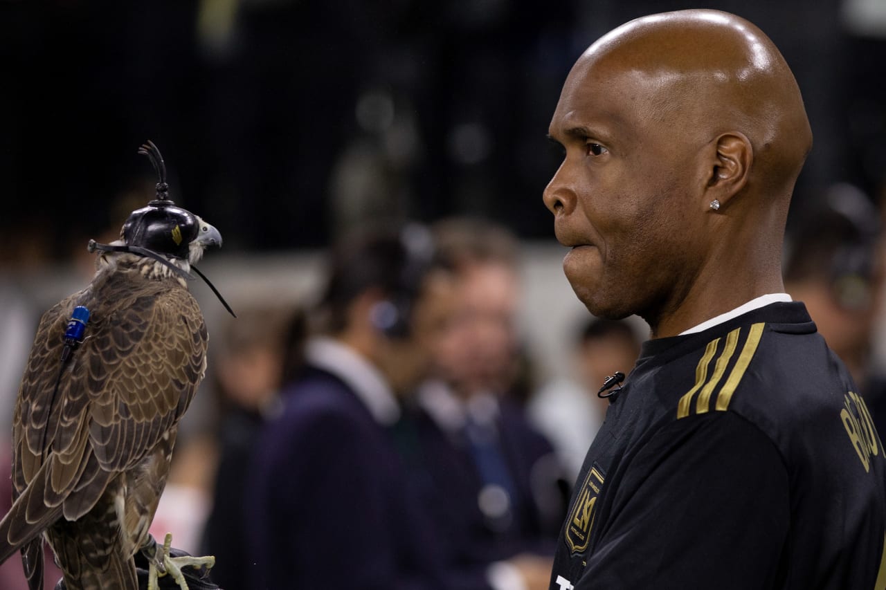 Honorary Falconers