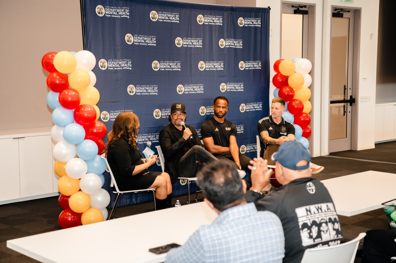 LACDMH Panel