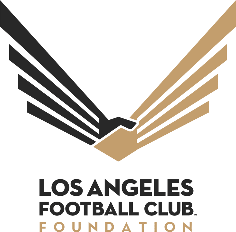 Foundation -